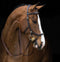 Horseware Rambo® Micklem® Multibridle - Hoofprints Innovations 