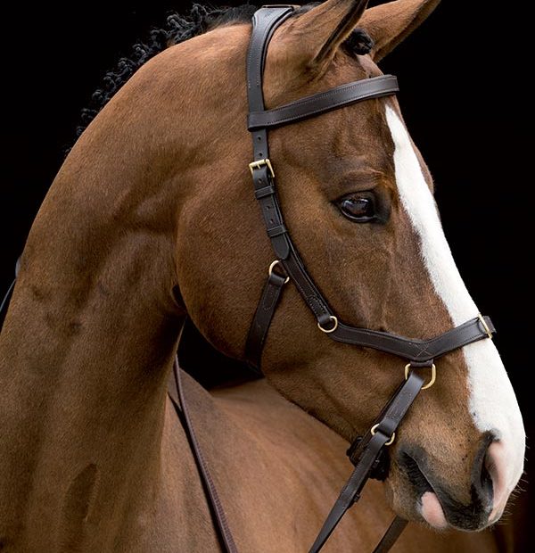 Horseware Rambo® Micklem® Multibridle - Hoofprints Innovations 