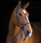 Horseware Rambo® Micklem® Multibridle - Hoofprints Innovations 