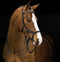 Horseware Rambo® Micklem® Diamante Competition Bridle - Hoofprints Innovations 