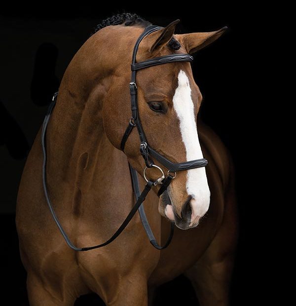 Horseware Rambo® Micklem® Deluxe Competition Bridle - Hoofprints Innovations 