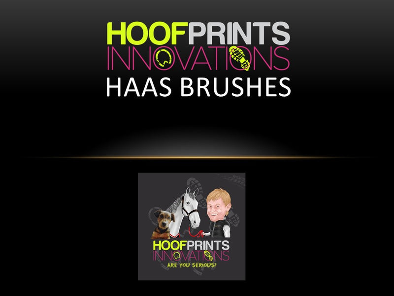 Haas Fellglanzburste Grooming Brush - Hoofprints Innovations 