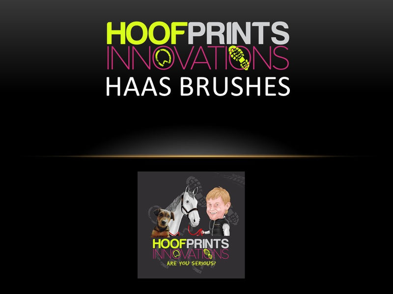 Haas Diva Exclusiv Grooming Brush - Hoofprints Innovations 