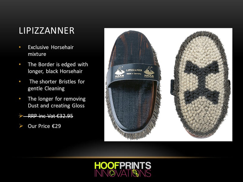 Haas Lipizzanner Grooming Brush - Hoofprints Innovations 