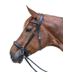 Star Bitless Bridle