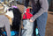 Red Original Roll Top Dry Bag