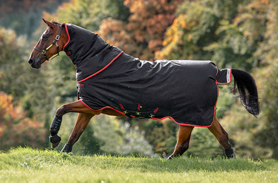 Horseware Amigo® Bravo 12 Plus Turnout Heavy 400g - Hoofprints Innovations 