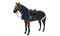 Horseware Amigo® Flyrider - Hoofprints Innovations 