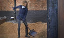 Noble Equestrian Wave Fork - Hoofprints Innovations 
