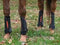 eQuick eVenting - Hoofprints Innovations 