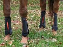 eQuick eVenting - Hoofprints Innovations 