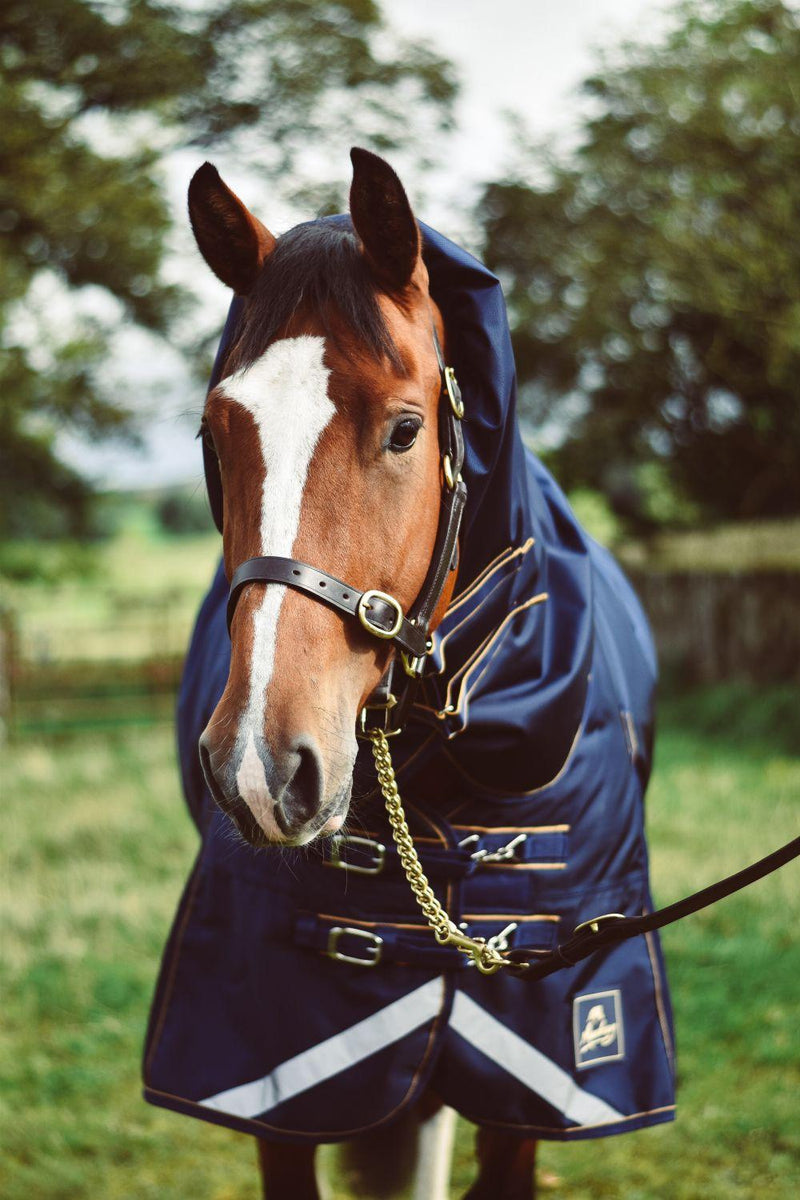 Mackey Wicklow Detach-a-neck Turnout Rug 360g Navy/ Gold