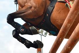 eQuick eVenting - Hoofprints Innovations 