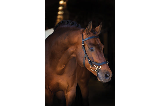 Horseware Rambo® Micklem® Multibridle - Hoofprints Innovations 